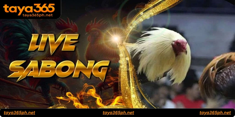 Key Strategies for Responsible Sabong Betting