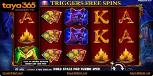 Madame Destiny Megaways slot