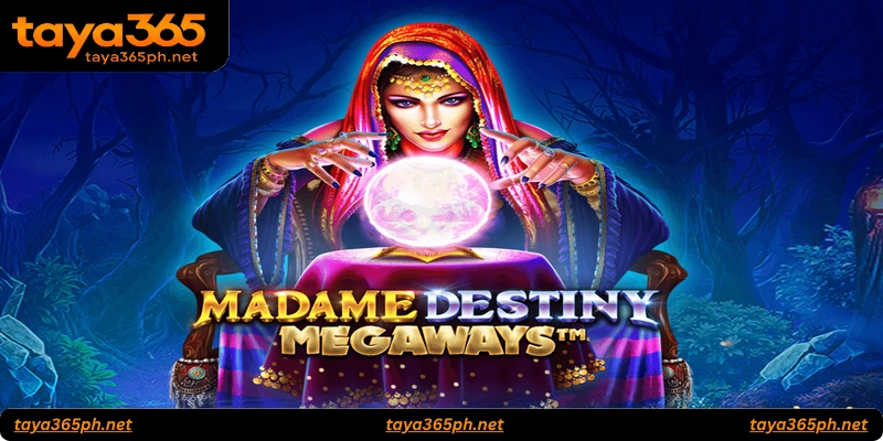 Key Features and Gameplay