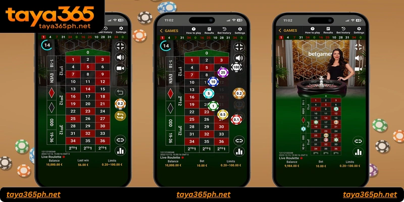 FAQs about Roulette Live