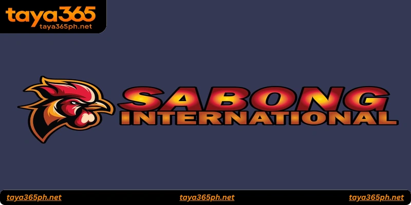 How Sabong International Works
