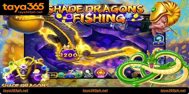 FAQs About Shade Dragons Fishing