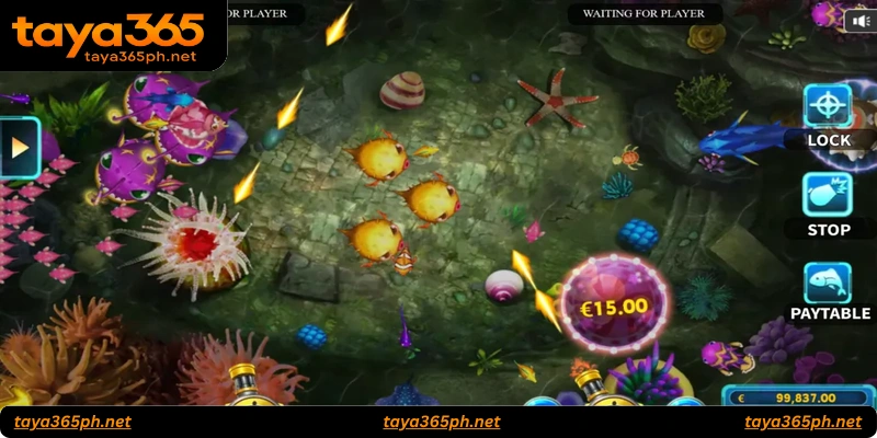 Common Mistakes to Avoid