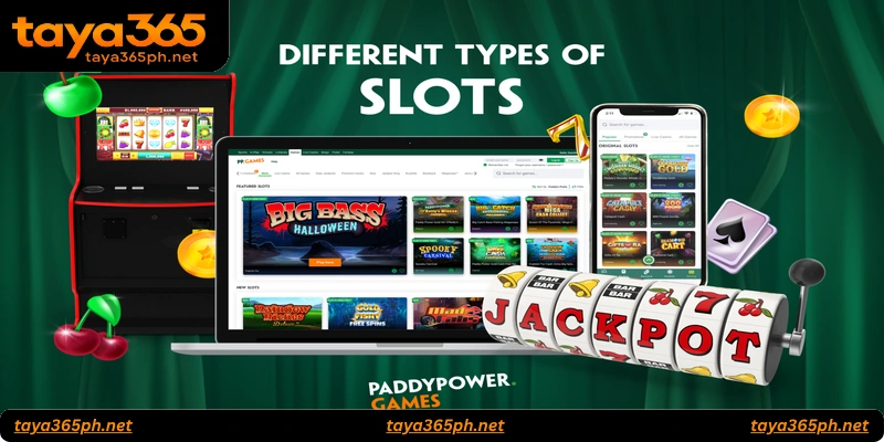 FAQs About Taya365 Slots