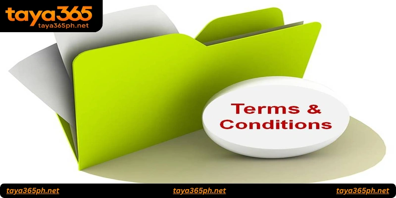 Top Tips for Players Before Accepting Terms