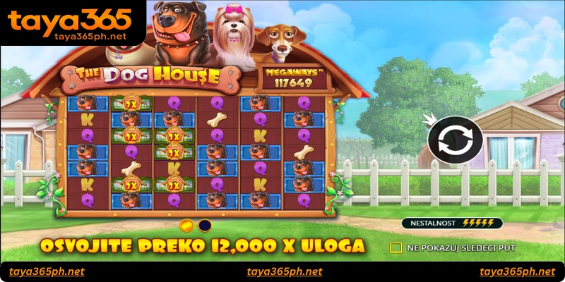 Overview of The Dog House Megaways Slot