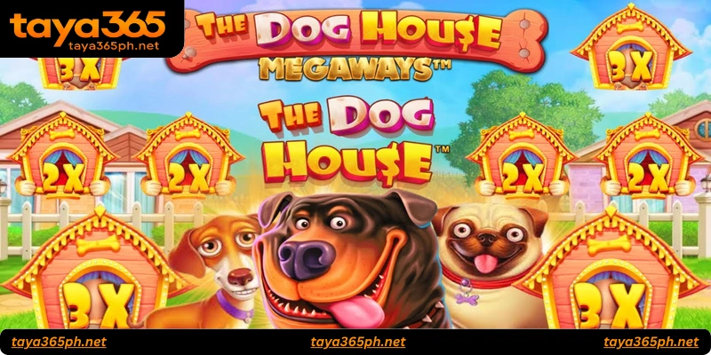 Comparing The Dog House Megaways with Other Pragmatic Slots
