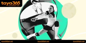 Volleyball Betting