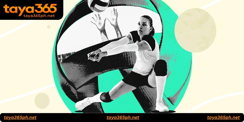 Volleyball Betting