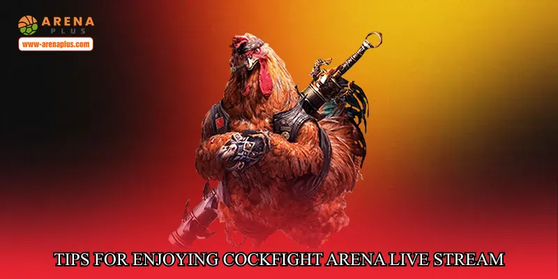 Tips for enjoying Cockfight arena live stream responsibly