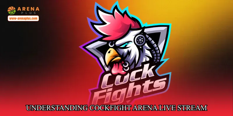 Understanding the appeal of Cockfight arena live stream