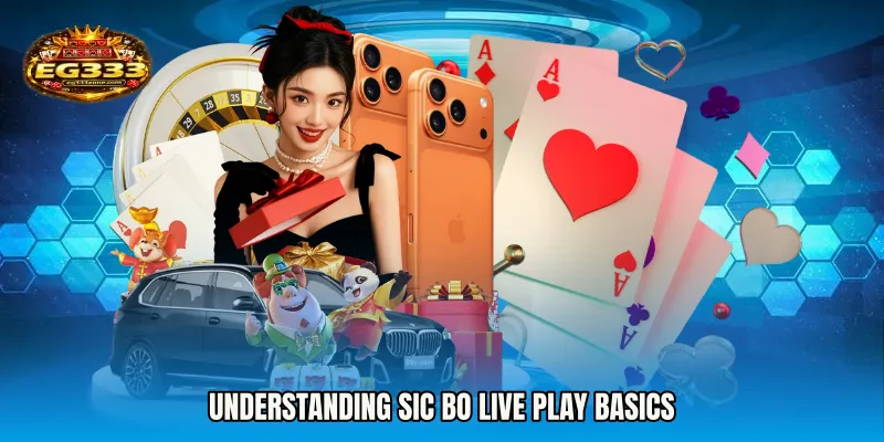 Understanding Sic Bo live play basics